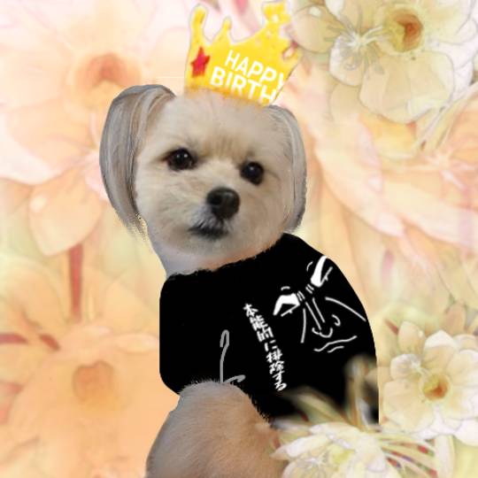 生き物ルーム第49