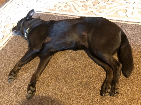 EGG'S CAFE イイ表情お願いしますぅ~♪