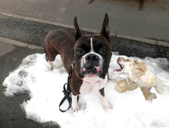 生き物ルーム第49