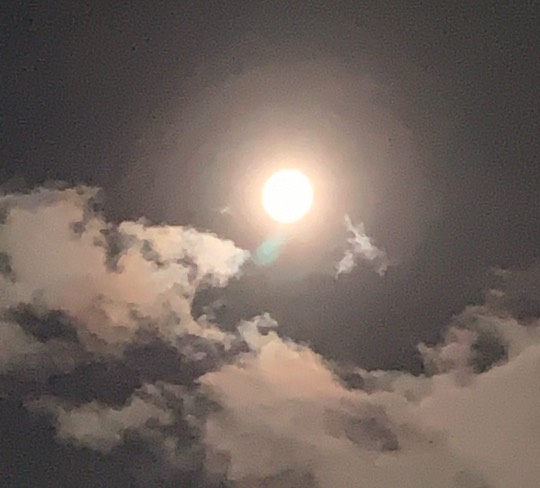 ★ドンキ♡♡ロピア 雑談47★