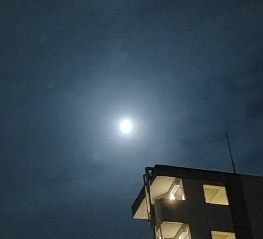 ★ドンキ♡♡ロピア 雑談47★