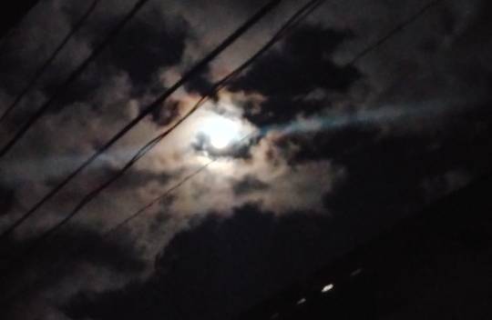 ★ドンキ♡♡ロピア 雑談47★