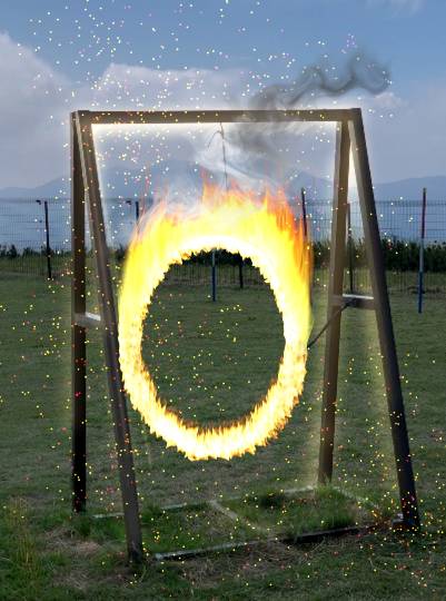 生き物ルーム第49