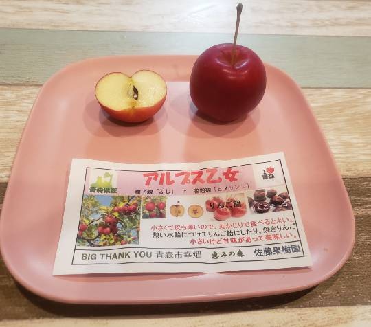 マスク同窓会詰所兼ニューフェイス歓迎所30(夢)