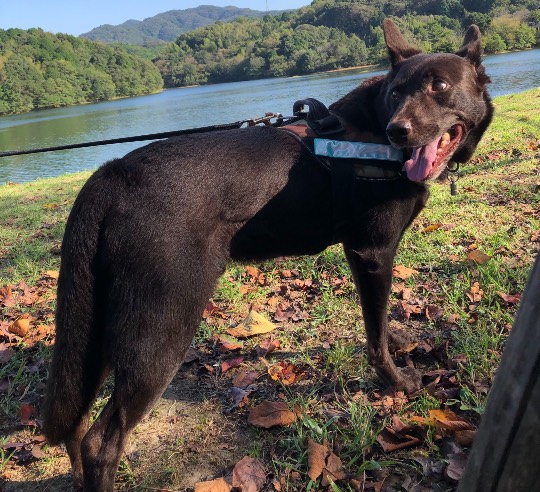 生き物ルーム第49