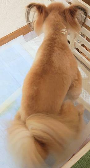 生き物ルーム第49