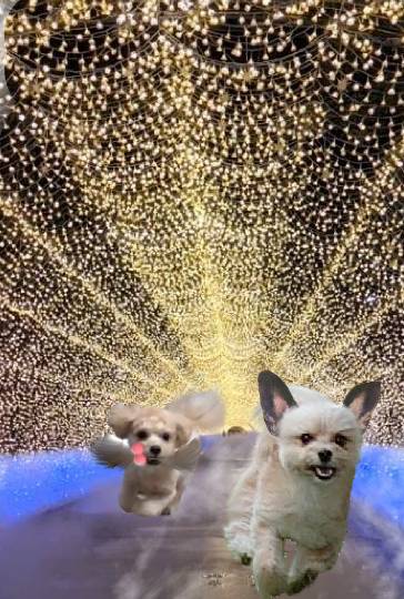 雑談お絵描き部・コラージュ部・素材提供部 No.１２　画像投稿のお悩みはコチラへ