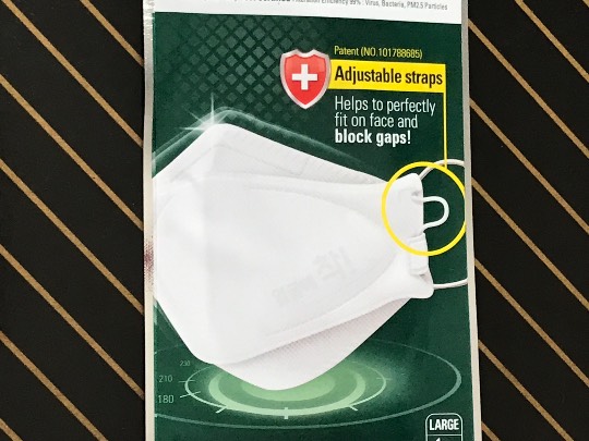 マスク同窓会詰所兼ニューフェイス歓迎所30(夢)