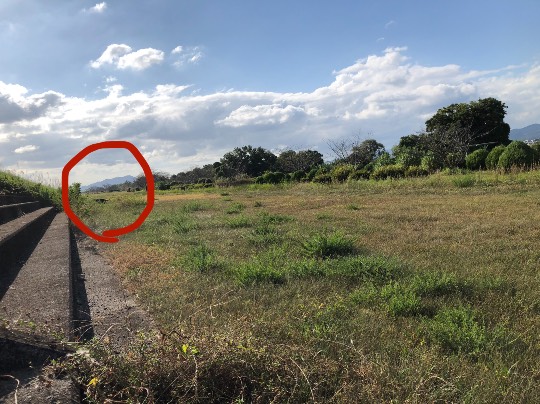 生き物ルーム第49