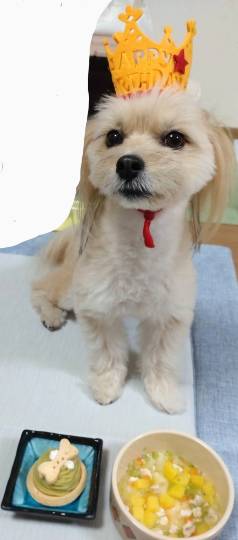 生き物ルーム第49