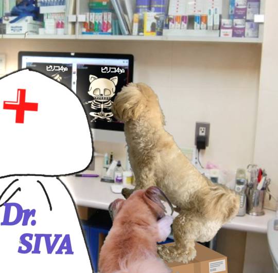 生き物ルーム第49