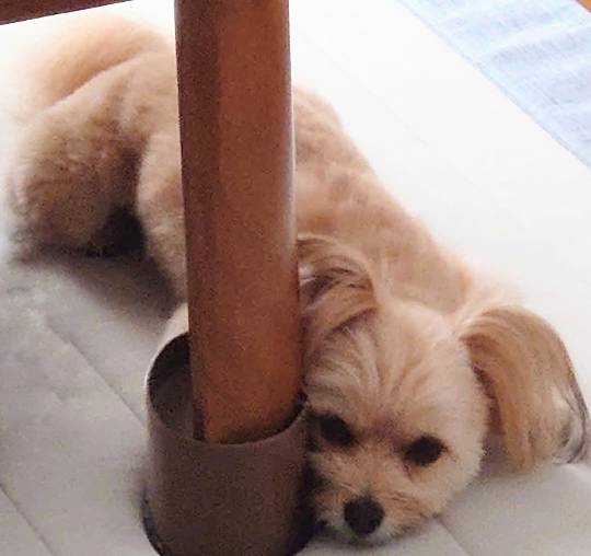 生き物ルーム第49