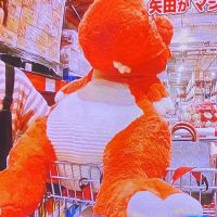 赤い恐竜のぬいぐるみはありますか？