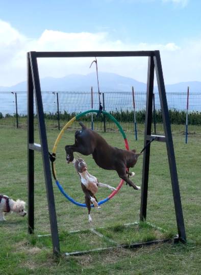 生き物ルーム第49