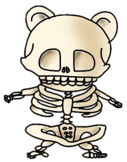 生き物ルーム第49