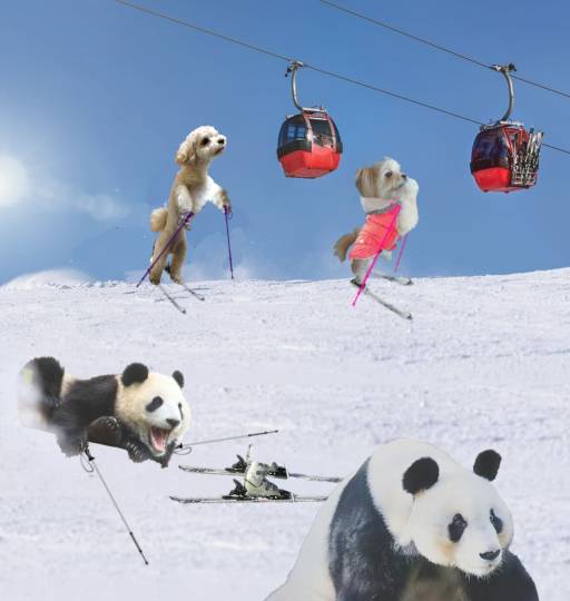 生き物ルーム第49