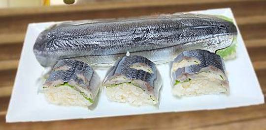 生き物ルーム第49