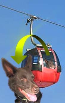 生き物ルーム第49