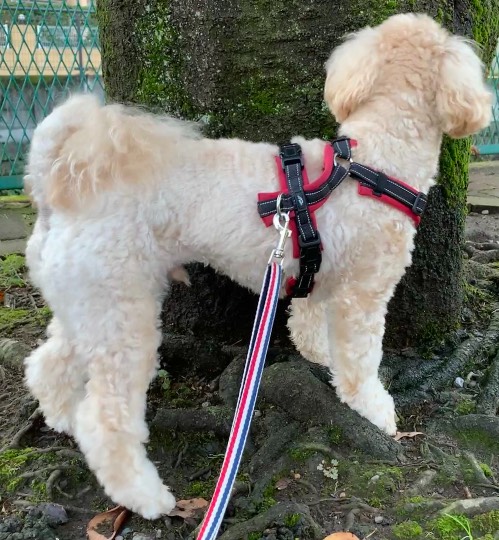 生き物ルーム第49