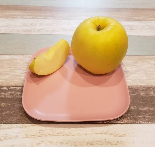 マスク同窓会詰所兼ニューフェイス歓迎所31(野望)