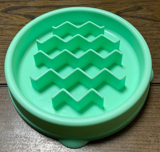 生き物ルーム第49