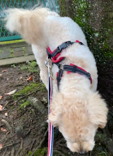 生き物ルーム第49