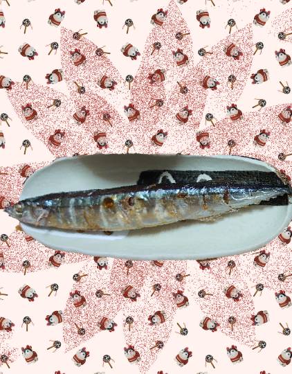 生き物ルーム第49