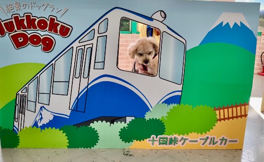 生き物ルーム第49