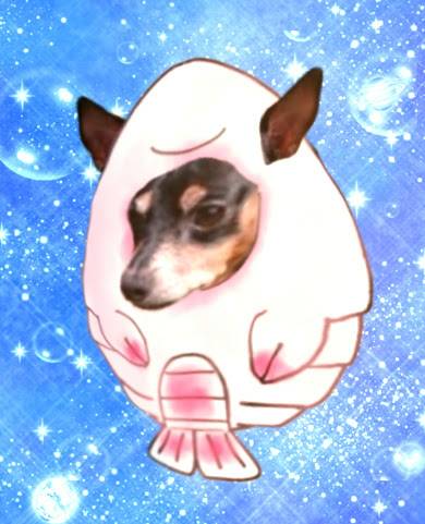 雑談お絵描き部10　画像関係