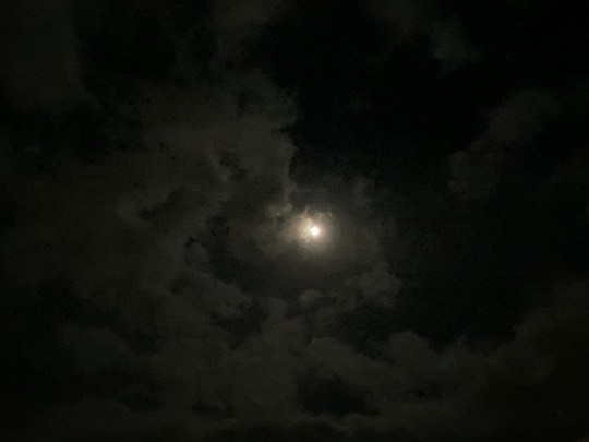 ★ドンキ♡♡ロピア 雑談47★