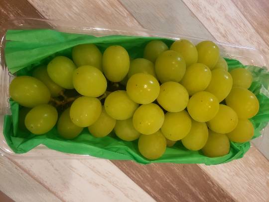 マスク同窓会詰所兼ニューフェイス歓迎所30(夢)