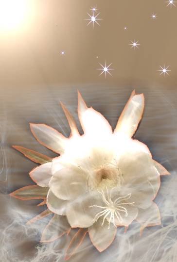 雑談お絵描き部10　画像関係