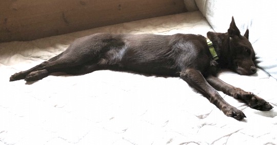 生き物ルーム第49