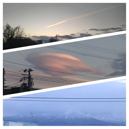 マスク同窓会詰所兼ニューフェイス歓迎所(思いやり)