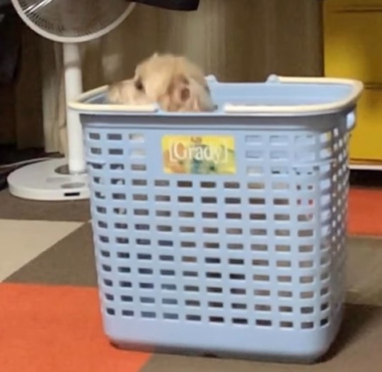 生き物ルーム第51