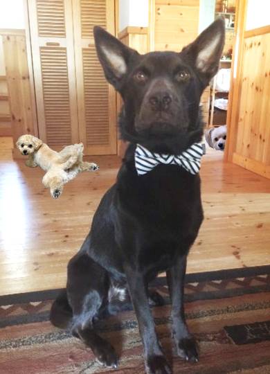 生き物ルーム第51