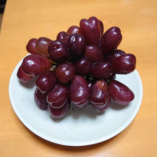 マスク同窓会詰所兼ニューフェイス歓迎所31(野望)