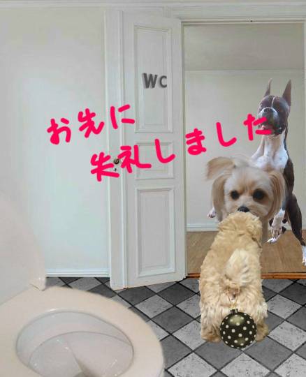 生き物ルーム第51