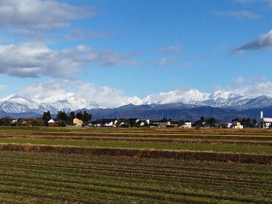 マスク同窓会詰所兼ニューフェイス歓迎所(思いやり)