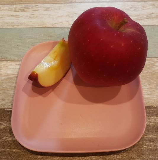 マスク同窓会詰所兼ニューフェイス歓迎所31(野望)