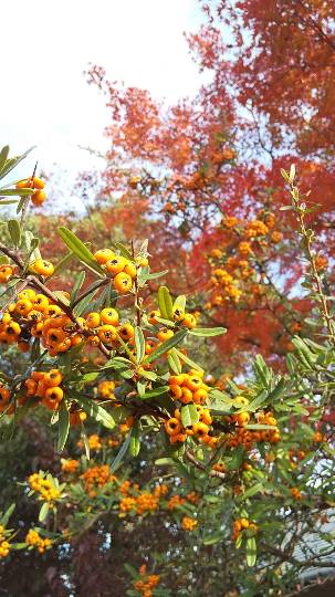 ★ドンキ♡♡ロピア 雑談50★