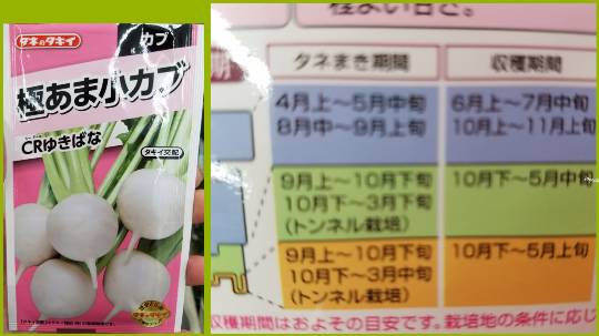 花木、ハーブ野菜、ガーデニング、昆虫etc 大好きさん集まれ7　書き込み初心者大歓迎。