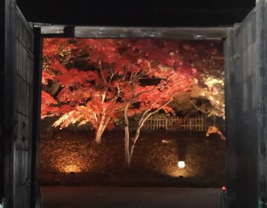 マスク同窓会詰所兼ニューフェイス歓迎所31(野望)