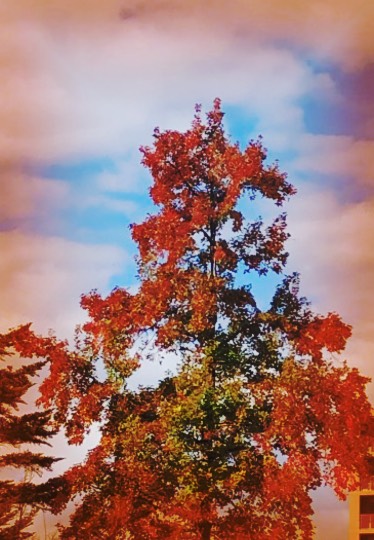 ★ドンキ♡♡ロピア 雑談50★