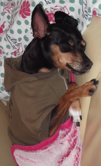 生き物ルーム第51