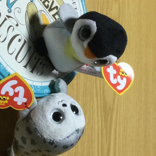 マスク同窓会詰所兼ニューフェイス歓迎所31(野望)