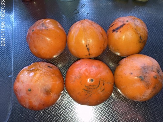 マスク同窓会詰所兼ニューフェイス歓迎所31(野望)