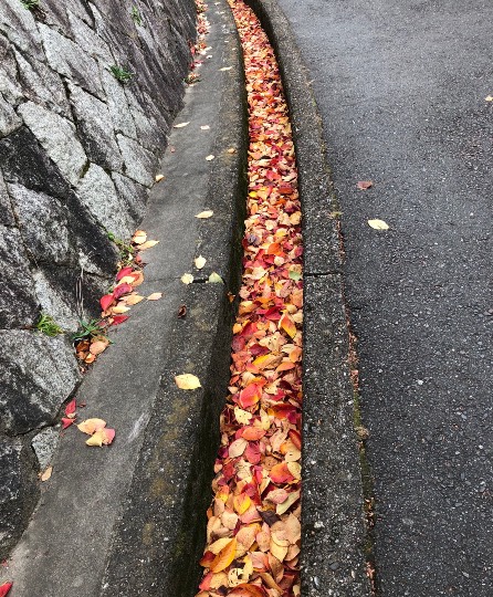 ★ドンキ♡♡ロピア 雑談48★