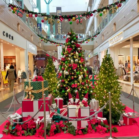 ★ドンキ♡♡ロピア 雑談50★