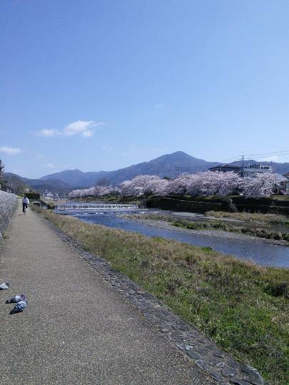 雑談お絵描き部・コラージュ部・素材提供部 No.１２　画像投稿のお悩みはコチラへ